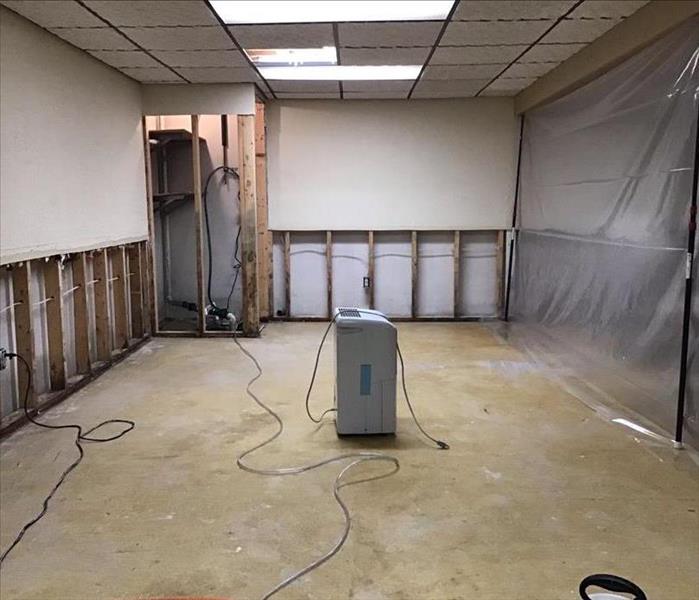 after mold remediation