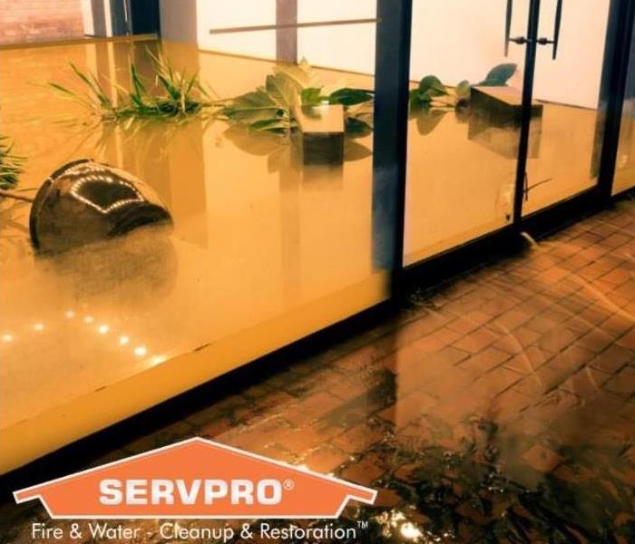 Office flooded with water, plants tipped over and floating in the water