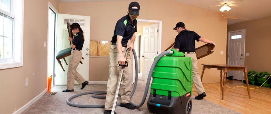 Washington Township, MI cleaning services